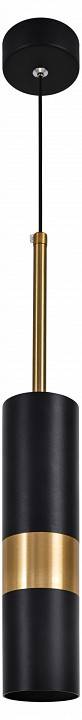 Подвесной светильник Эра PL33 BK/GD Б0061382