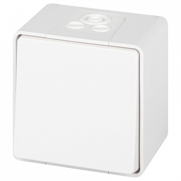 Выключатель одноклавишный Эра Эра Эксперт 11-1501-01