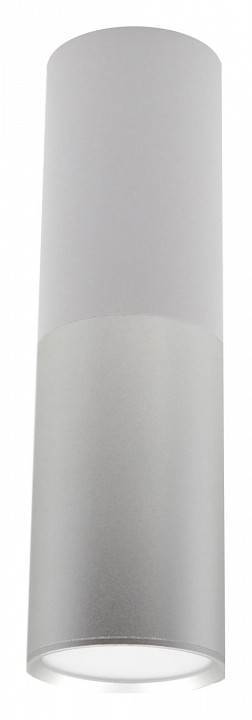 Накладной светильник Escada 20007 20007SMU/02LED SWH/CH