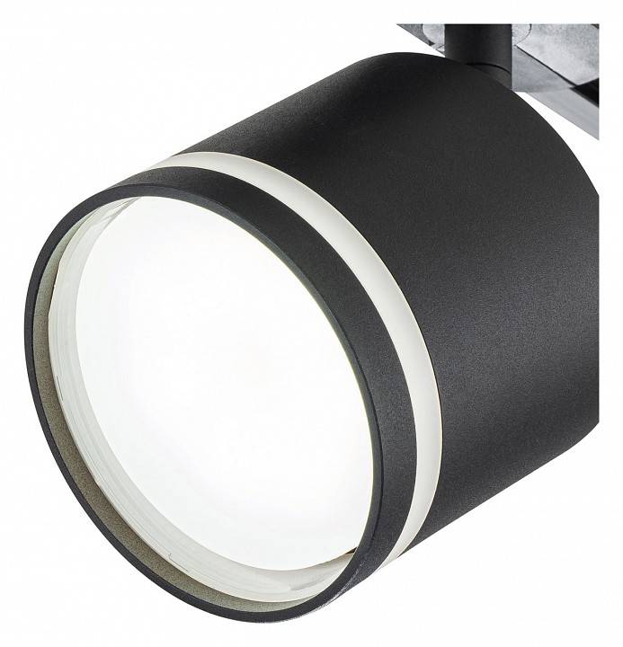 Светильник на штанге Escada 20009 2xE27 20009TRA/02 SBK