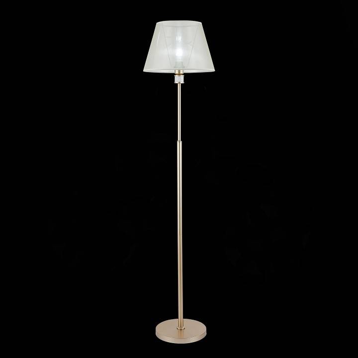 Торшер Evoluce Manila SLE107505-01