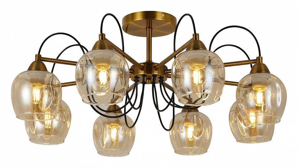 Потолочная люстра EVOLUCE Acro SLE110002-08