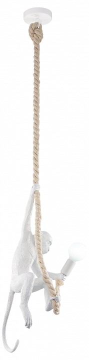 Подвесной светильник EVOLUCE Tenato SLE115103-01