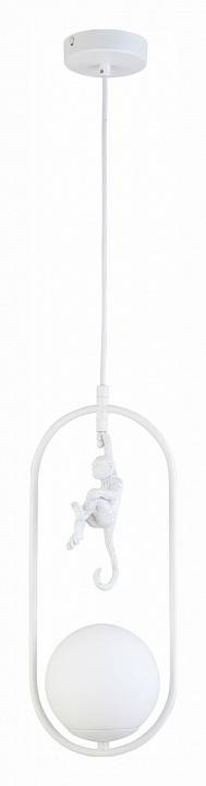 Подвесной светильник EVOLUCE Tenato SLE115123-01