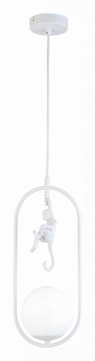 Подвесной светильник EVOLUCE Tenato SLE115123-01