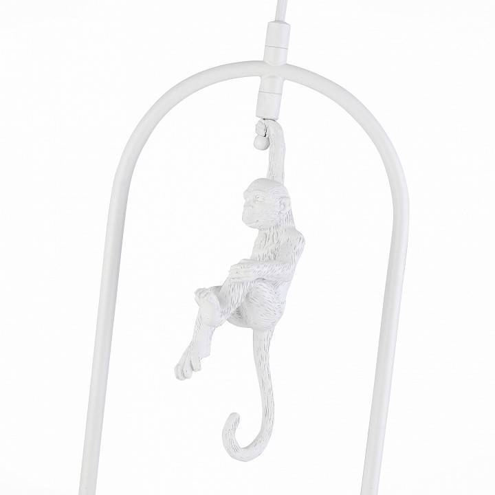 Подвесной светильник EVOLUCE Tenato SLE115123-01