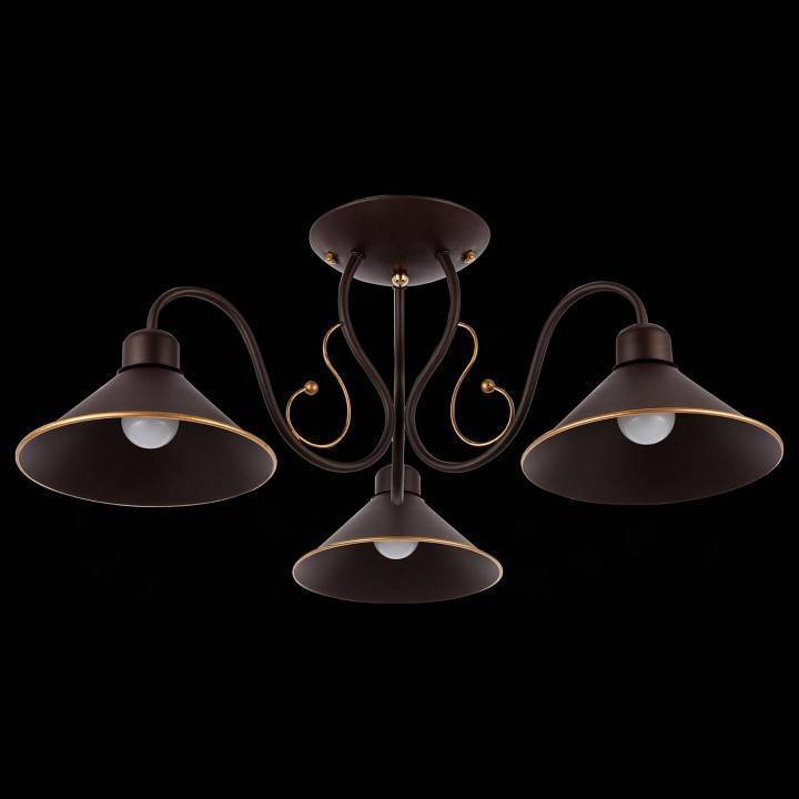 Люстра на штанге EVOLUCE Ciolla 3 лампы SLE120402-03