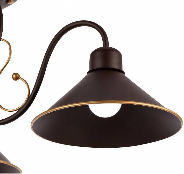 Люстра на штанге EVOLUCE Ciolla 3 лампы SLE120402-03