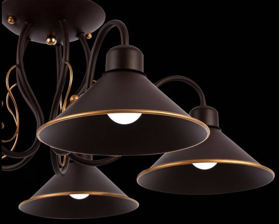 Люстра на штанге EVOLUCE Ciolla SLE120402-05