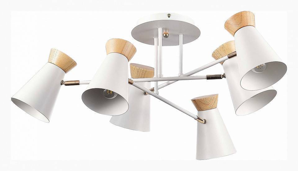 Потолочная люстра EVOLUCE Alfeo SLE1252-502-06