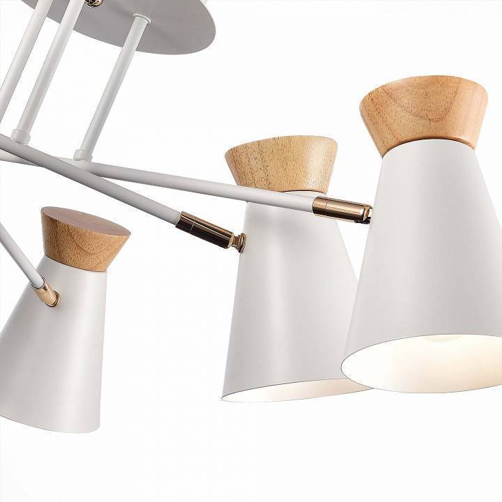 Потолочная люстра EVOLUCE Alfeo SLE1252-502-06