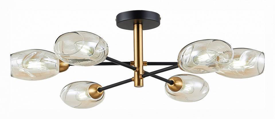 Люстра на штанге EVOLUCE Gloa 6 ламп SLE155502-06