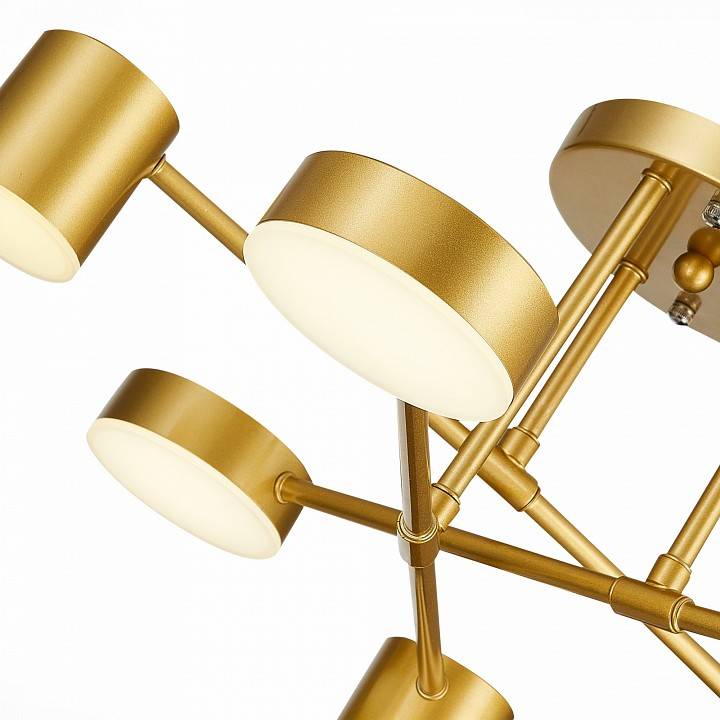 Потолочная люстра EVOLUCE Nobel SLE201022-06