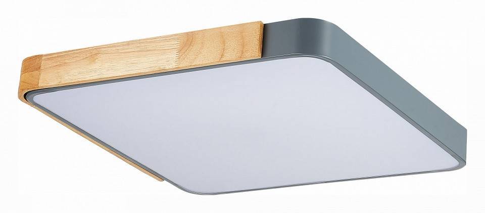 Накладной светильник EVOLUCE Festa 1 x E27 SLE201272-01