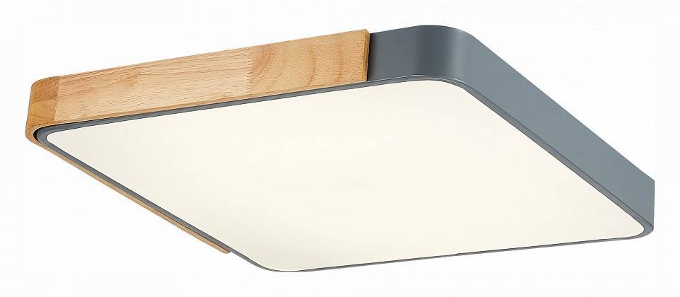 Накладной светильник EVOLUCE Festa 1 x E27 SLE201272-01