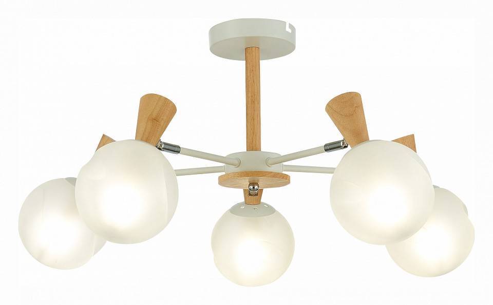 Люстра на штанге EVOLUCE Catania SLE220702-05