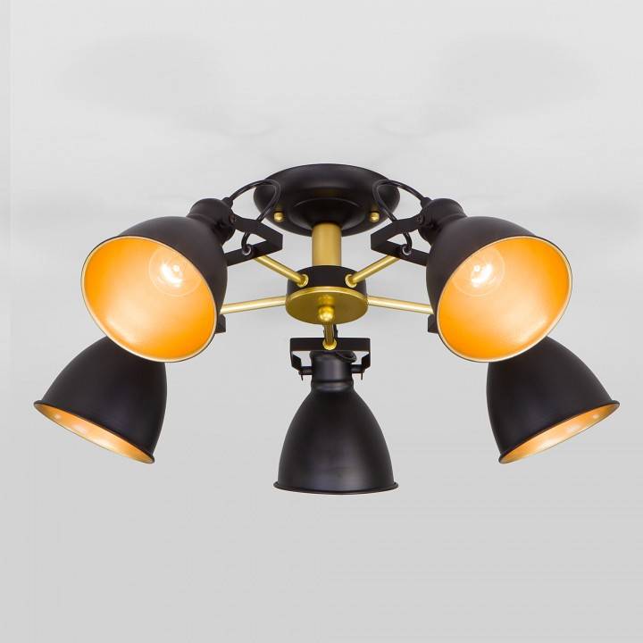 Потолочная люстра Eurosvet Denley 70112/5 черный 70112/5