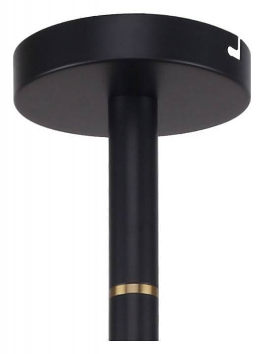 Люстра на штанге Favourite Eternity 2766-12P