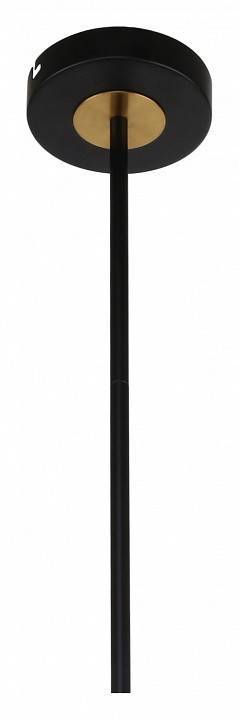 Люстра на штанге F-Promo Vials 3090-10P