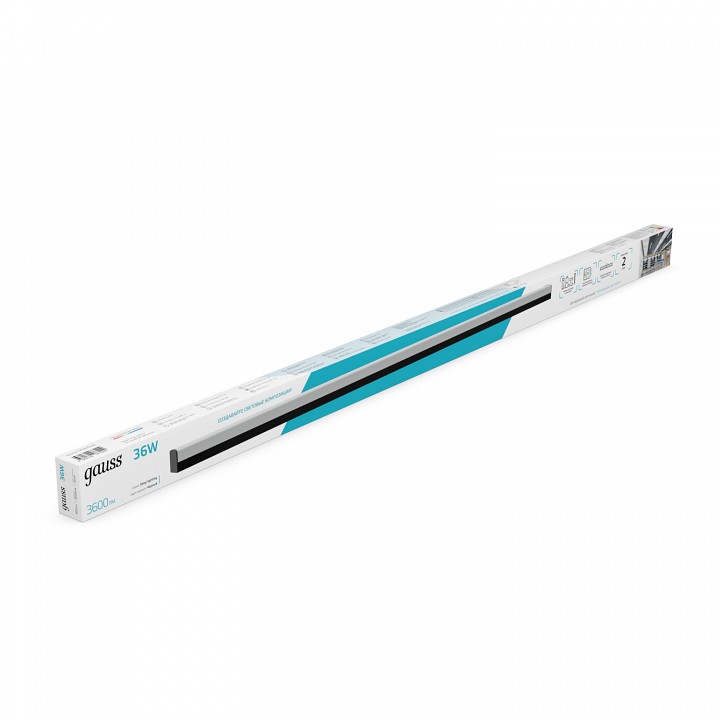 Накладной светильник Gauss  883625236