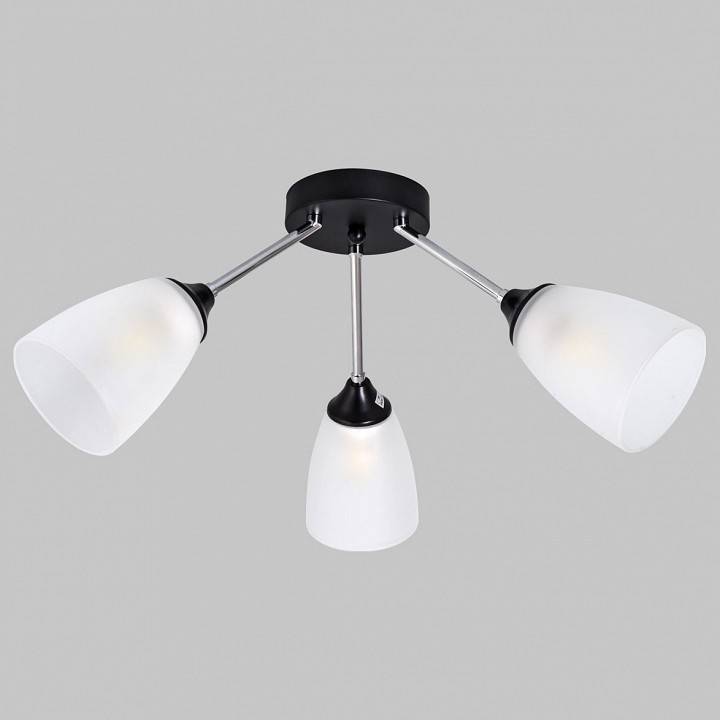 Потолочная люстра Imex MD.2167 3 лампы MD.2167-3-S-BK+CH