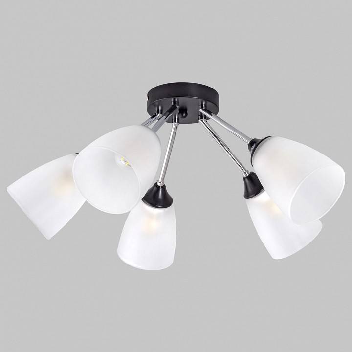 Потолочная люстра Imex MD.2167 5 ламп MD.2167-5-S-BK+CH