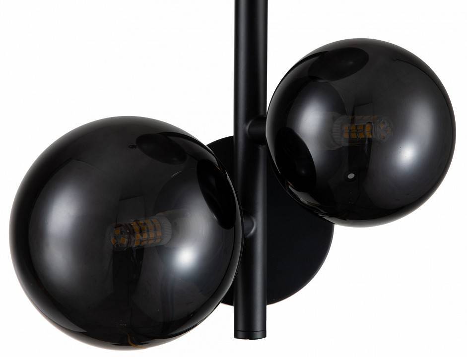 Бра Indigo Molecola 11018/3W Black