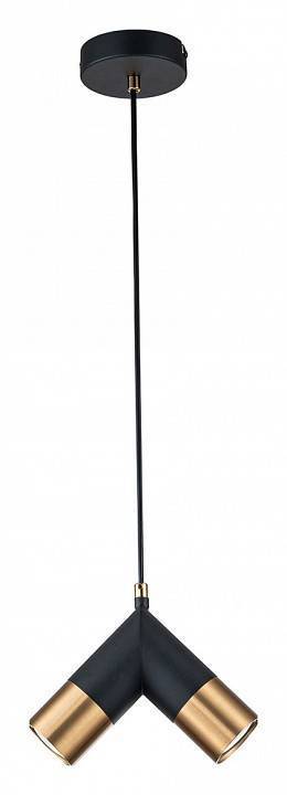 Подвесной светильник Indigo Doppio 11036/2P Black