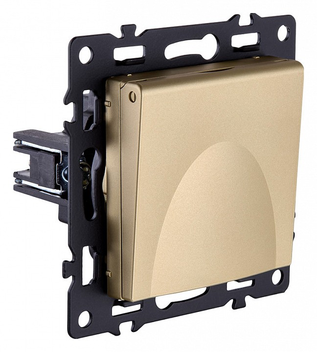 Розетка с заземлением с крышкой, без рамки Kollinger Asthetik AS-015GD