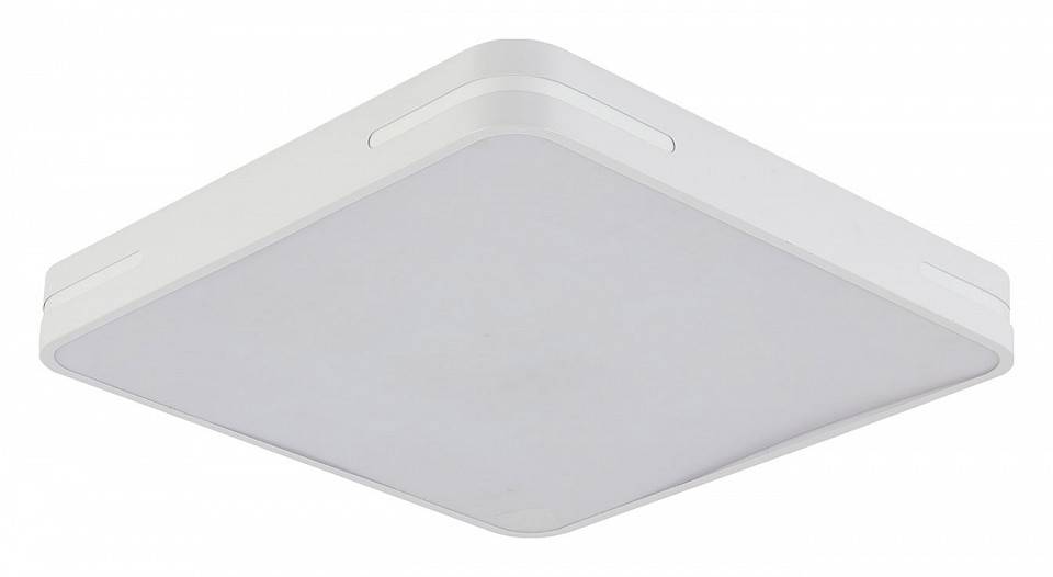 Светильник накладной Natali Kovaltseva Modern LED LAMPS 81331