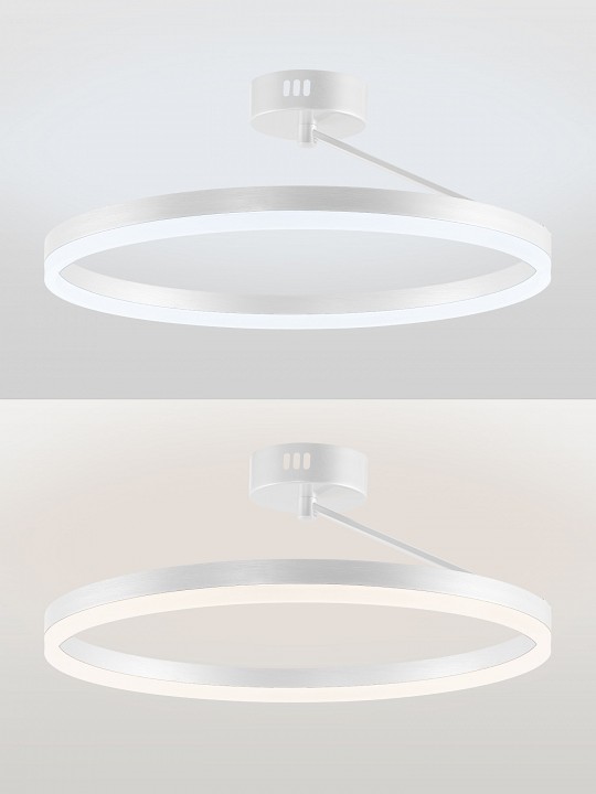 Светильник на штанге Natali Kovaltseva FINAM LED LAMPS 81121/1C