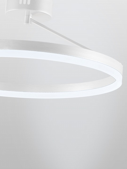 Светильник на штанге Natali Kovaltseva FINAM LED LAMPS 81121/1C