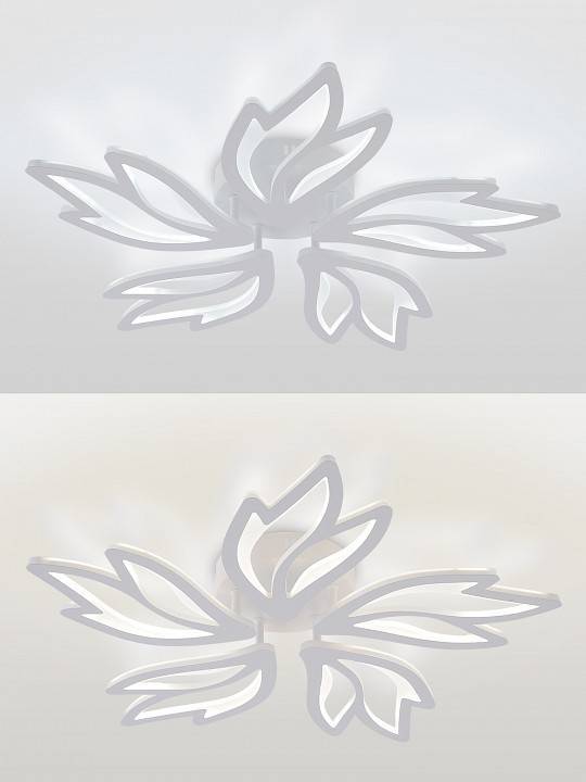 Потолочная люстра Natali Kovaltseva RIF LED LAMPS 81118/4C