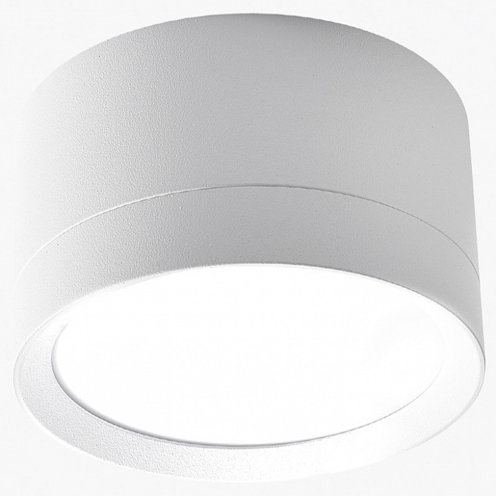 Накладной светильник LEDS POWER SPOT 009384