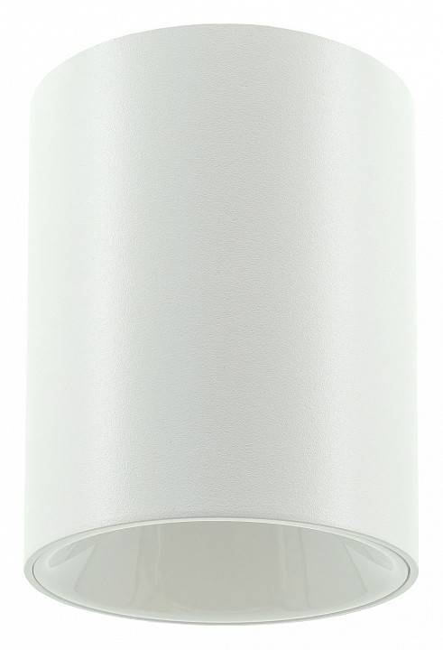 Накладной светильник LIGHTERA Shamrock LE201CL-1WB