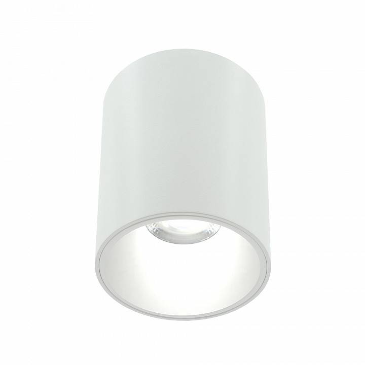 Накладной светильник LIGHTERA Shamrock LE201CL-1WB