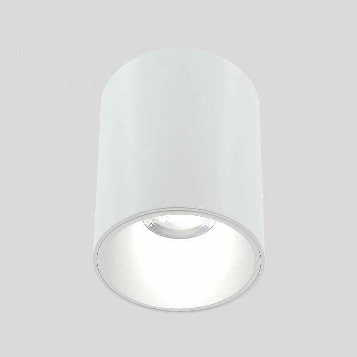 Накладной светильник LIGHTERA Shamrock LE201CL-1WB