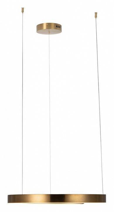 Подвесной светильник Loft it Ring 10013M