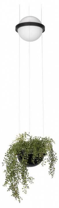 Подвесной светильник Loft it Jardin 10121/B