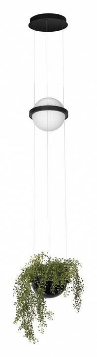 Подвесной светильник Loft it Jardin 10121/B