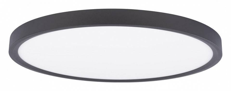 Накладной светильник Loft It Extraslim 10227/40 Black