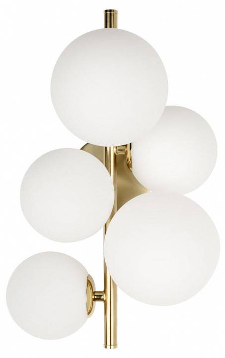 Бра Loft it Tely 10236/5W