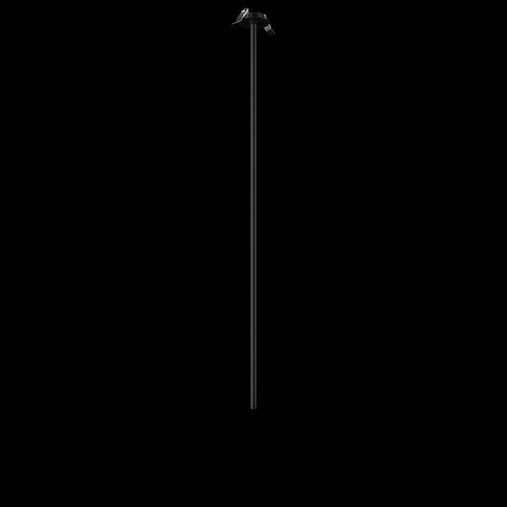 Встраиваемый светильник на штанге Loft it Cane 10359/1000 Black