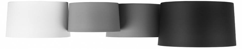 Потолочная люстра Loft it Duo 10360/4