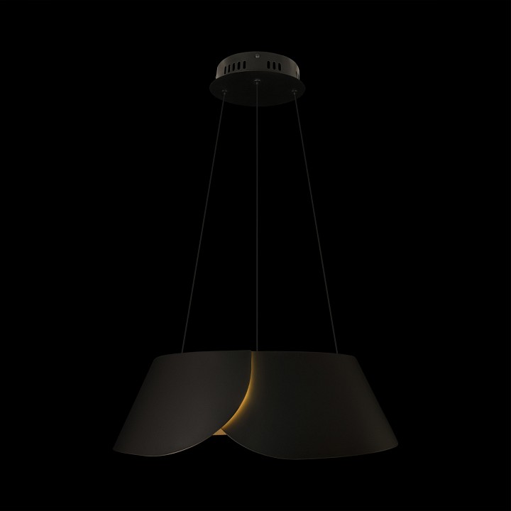 Подвесной светильник Loft it Lane 10370P Black