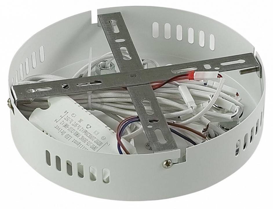 Потолочная люстра Lumion Alberta 8029/65CL