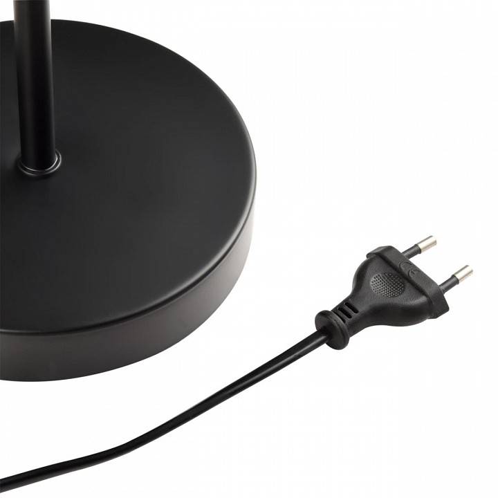 Торшер с подсветкой Lumion Kaya 8042/2F