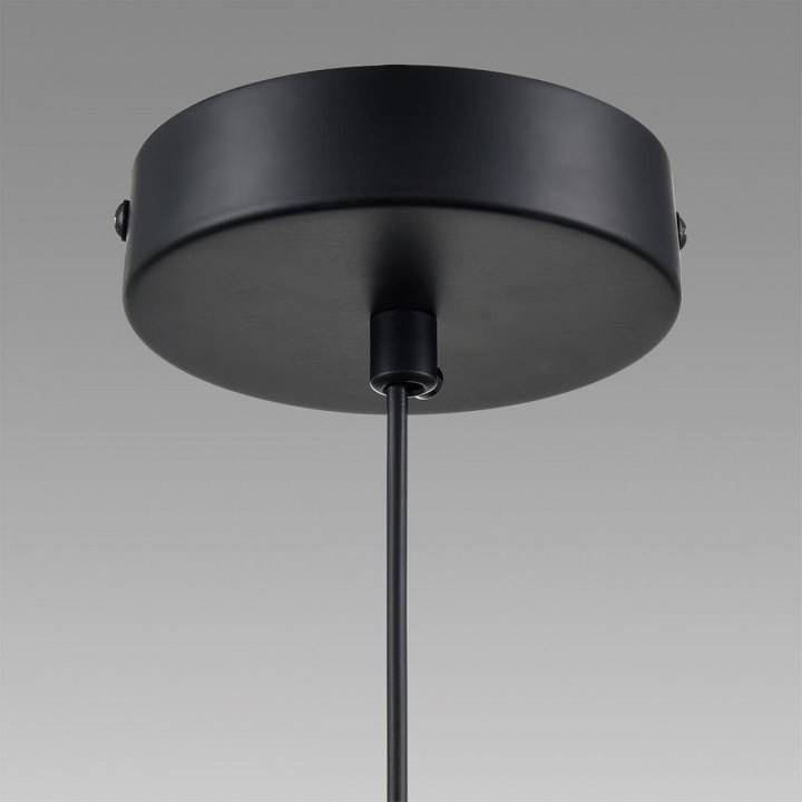 Подвесной светильник Lumion Isha 8101/1A