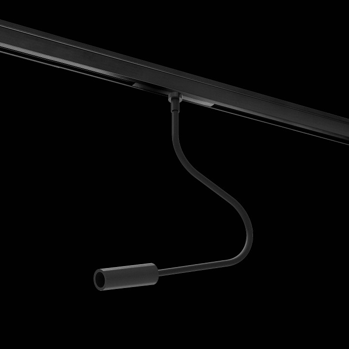 Светильник на штанге Lightstar Linea 236037