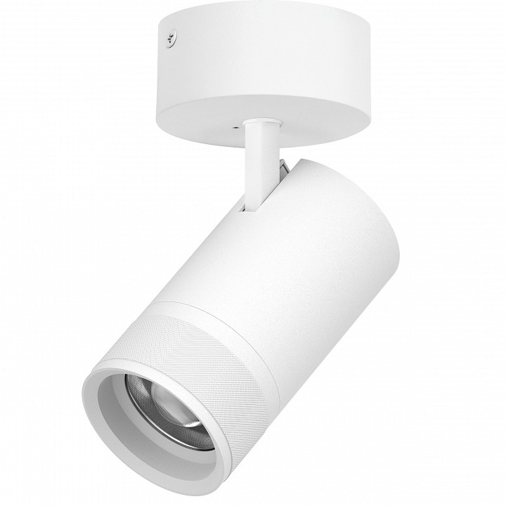 Спот Lightstar Canno Pro C4406SO